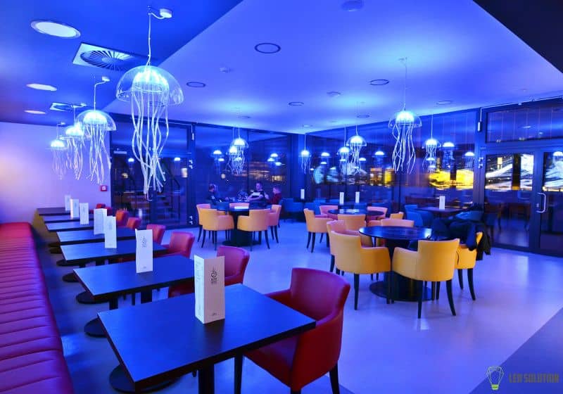 Komerční prostory - Medúzárium